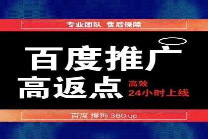 某企业SEM广告投放的转化率提升秘诀